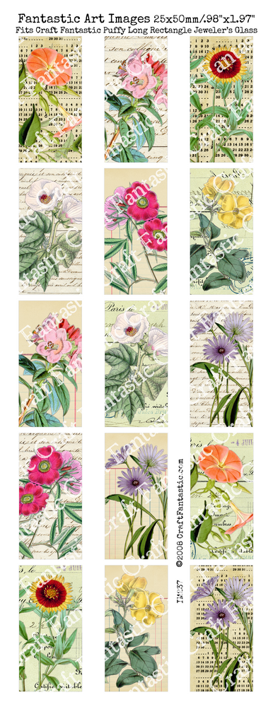 Botanica Notes BUNDLE - 6 Sheets