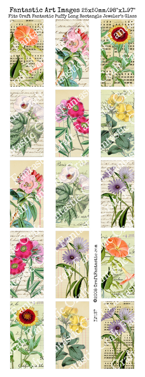 Botanica Notes BUNDLE - 6 Sheets