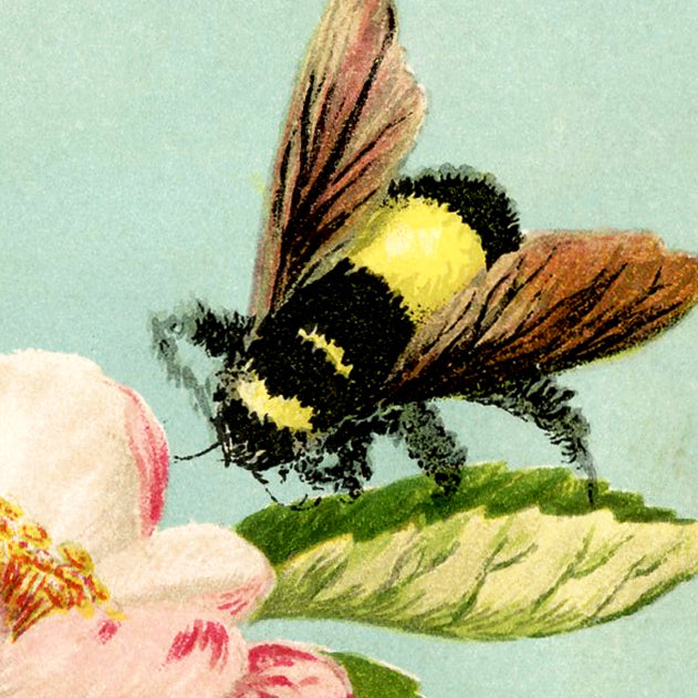 BEE LOVE puffy long rectangle size