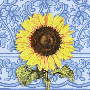 Sunny Flower BUNDLE - 6 Sheets