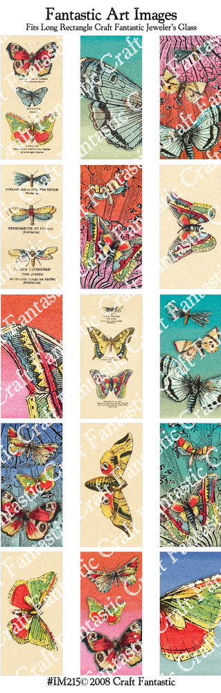 FRENCH BUTTERFLIES long rectangle size