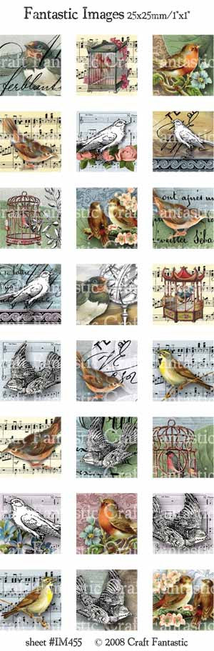 Birds Image Sheet
